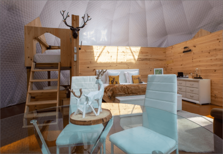 Dome tent (9)